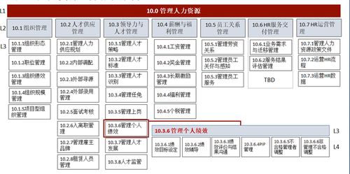華為人力資源管理體系 驅(qū)動(dòng)軟件開發(fā)創(chuàng)新與卓越的引擎